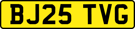 BJ25TVG