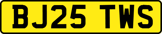 BJ25TWS