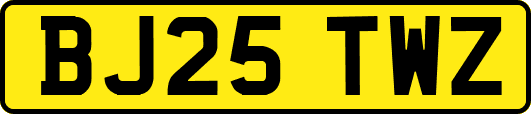 BJ25TWZ
