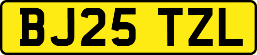 BJ25TZL