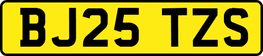 BJ25TZS