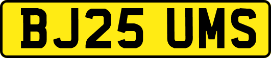 BJ25UMS