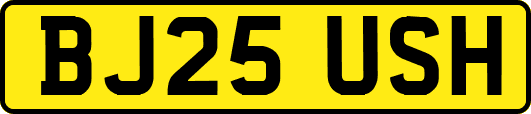 BJ25USH