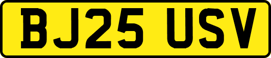 BJ25USV