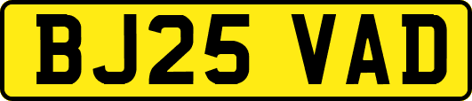 BJ25VAD