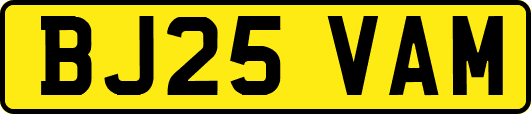 BJ25VAM