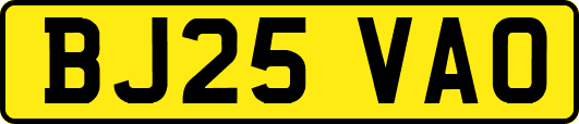 BJ25VAO