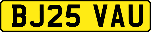 BJ25VAU