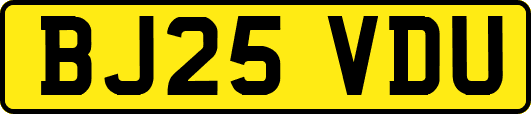BJ25VDU