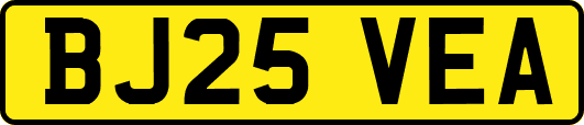BJ25VEA