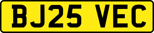 BJ25VEC