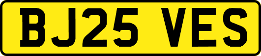 BJ25VES