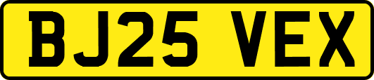 BJ25VEX