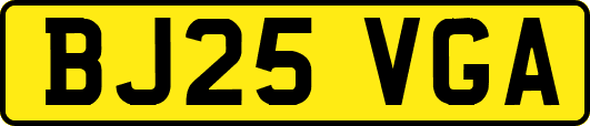 BJ25VGA