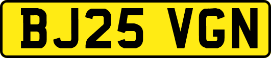 BJ25VGN
