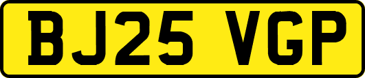 BJ25VGP
