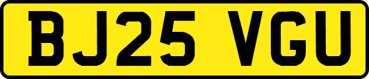 BJ25VGU