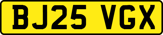 BJ25VGX