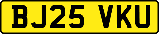 BJ25VKU