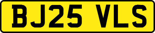 BJ25VLS