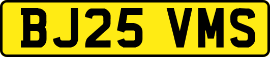 BJ25VMS