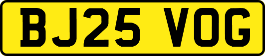 BJ25VOG