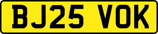BJ25VOK