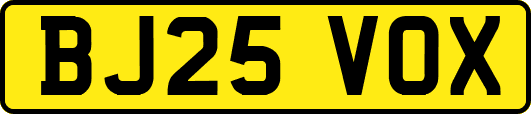 BJ25VOX