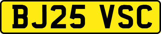 BJ25VSC