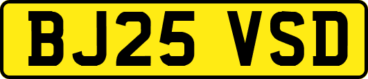 BJ25VSD