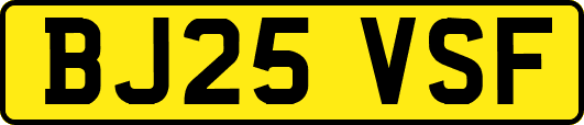 BJ25VSF