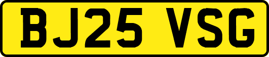 BJ25VSG