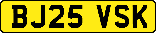 BJ25VSK