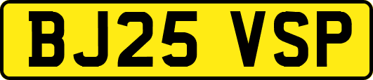 BJ25VSP