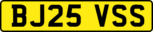 BJ25VSS