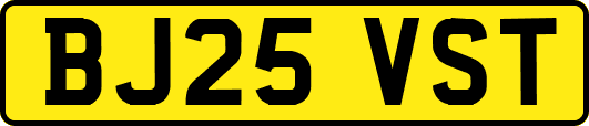 BJ25VST