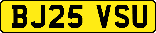 BJ25VSU