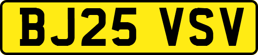 BJ25VSV