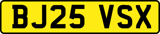 BJ25VSX