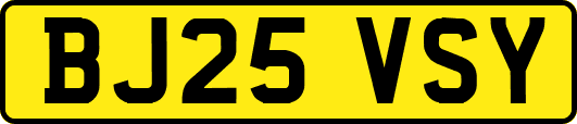 BJ25VSY