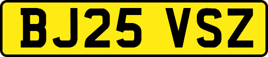 BJ25VSZ