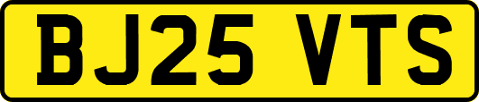 BJ25VTS
