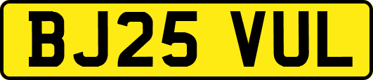 BJ25VUL