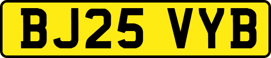 BJ25VYB
