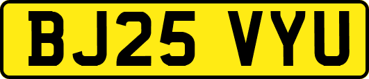 BJ25VYU