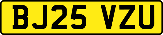 BJ25VZU