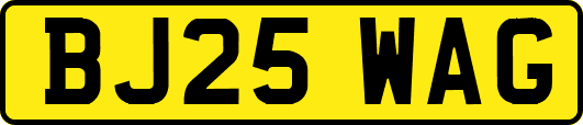 BJ25WAG