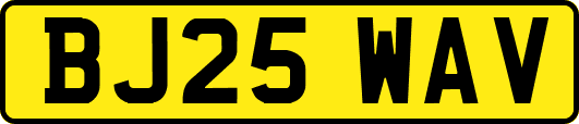 BJ25WAV