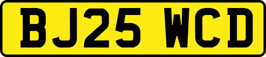 BJ25WCD