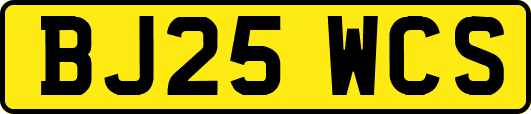 BJ25WCS